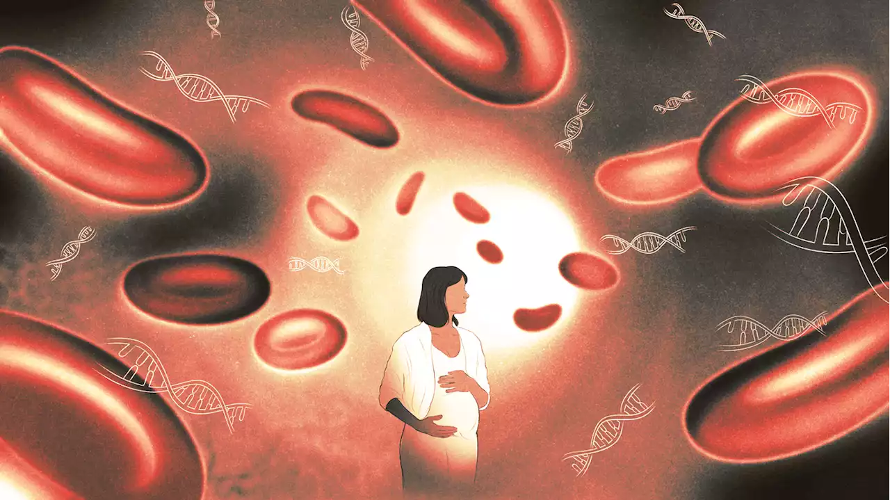 A new kind of blood test can screen for many cancers — as some pregnant people learn