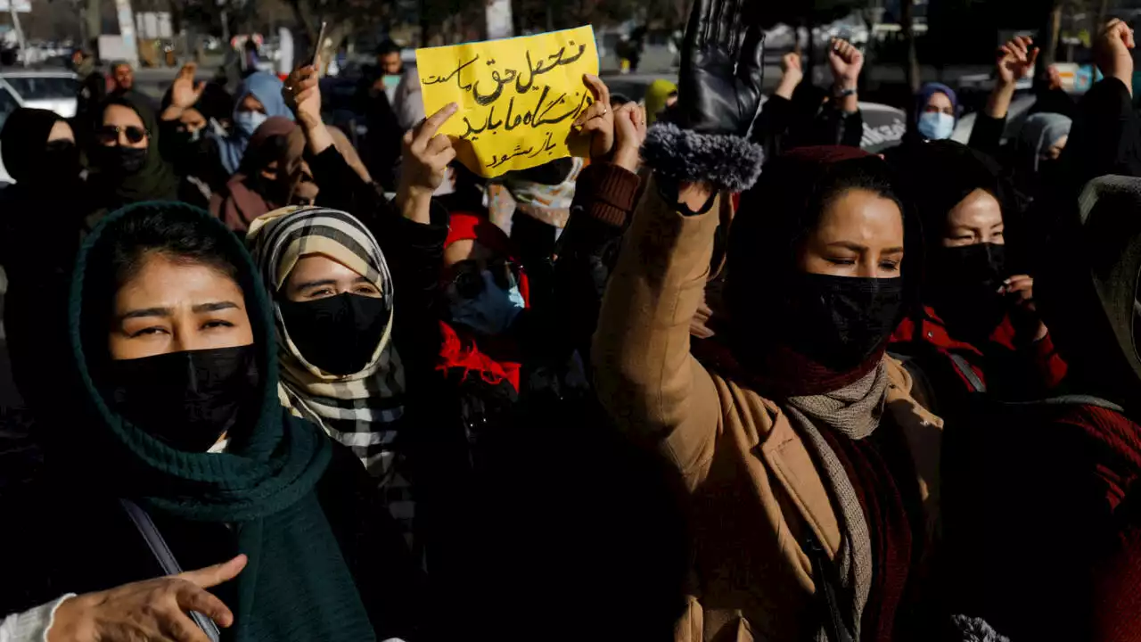 «Nous réclamons nos droits»: en Afghanistan, des femmes manifestent contre leur bannissement des universités