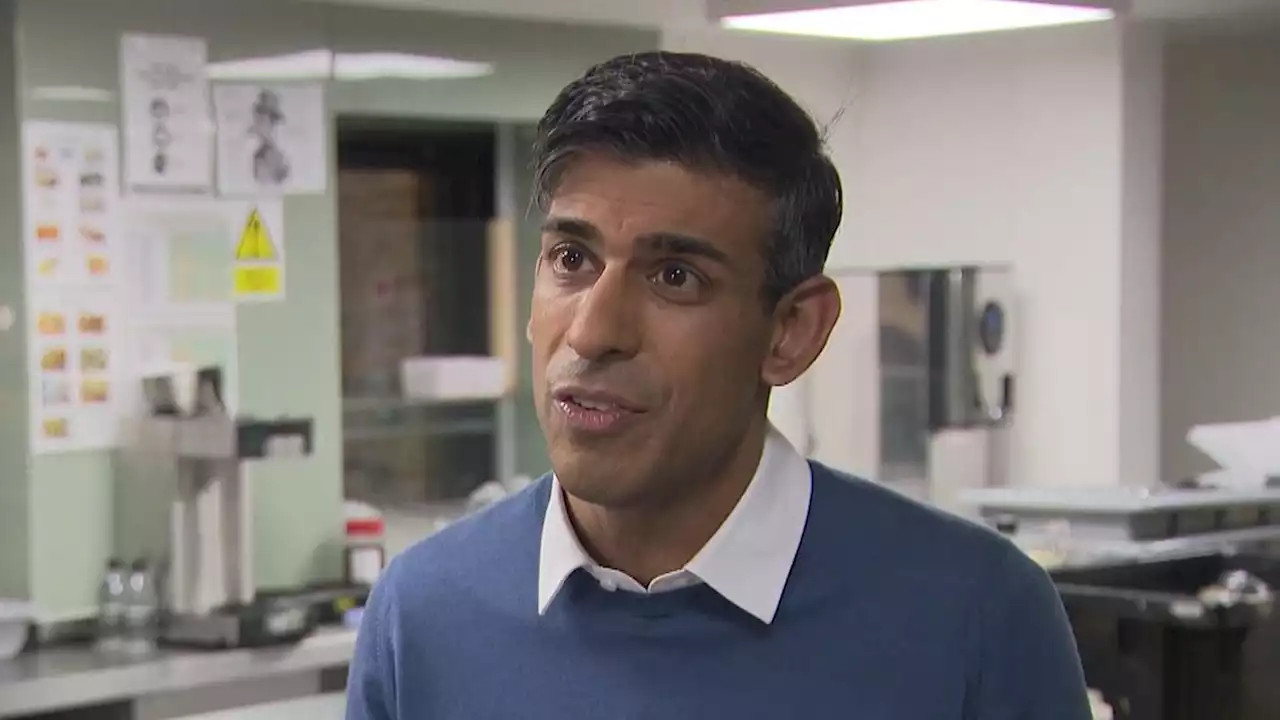 Rishi Sunak 'sad and disappointed' by strikes threatening Christmas getaways