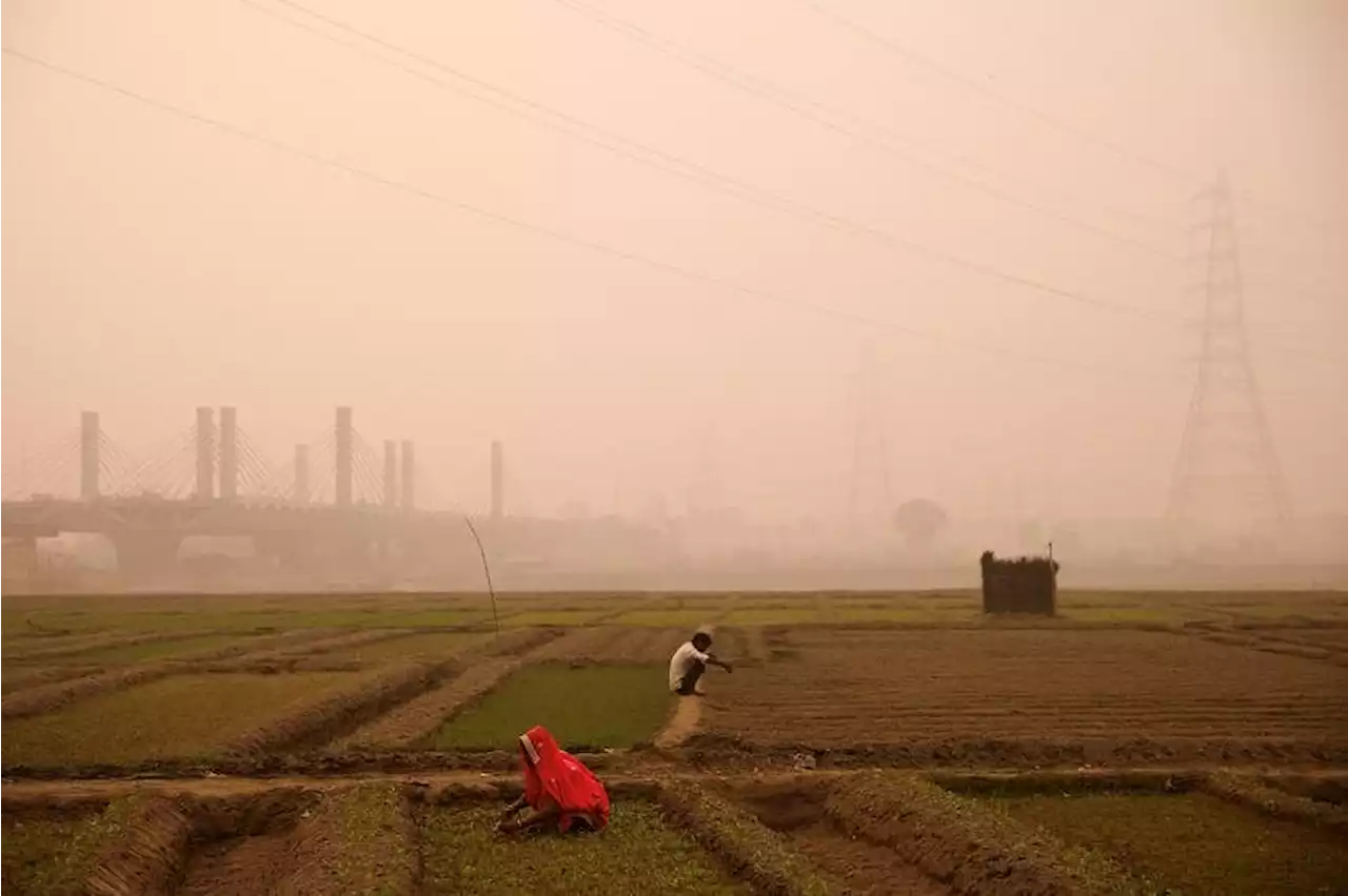 We are all sharing ‘one’ air: Dawn contributor