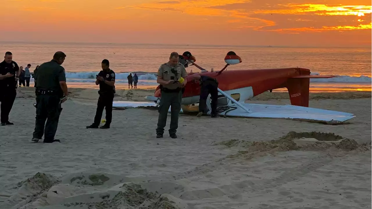 Ex-Santa Monica Mayor Killed in Dramatic Beach Plane Crash