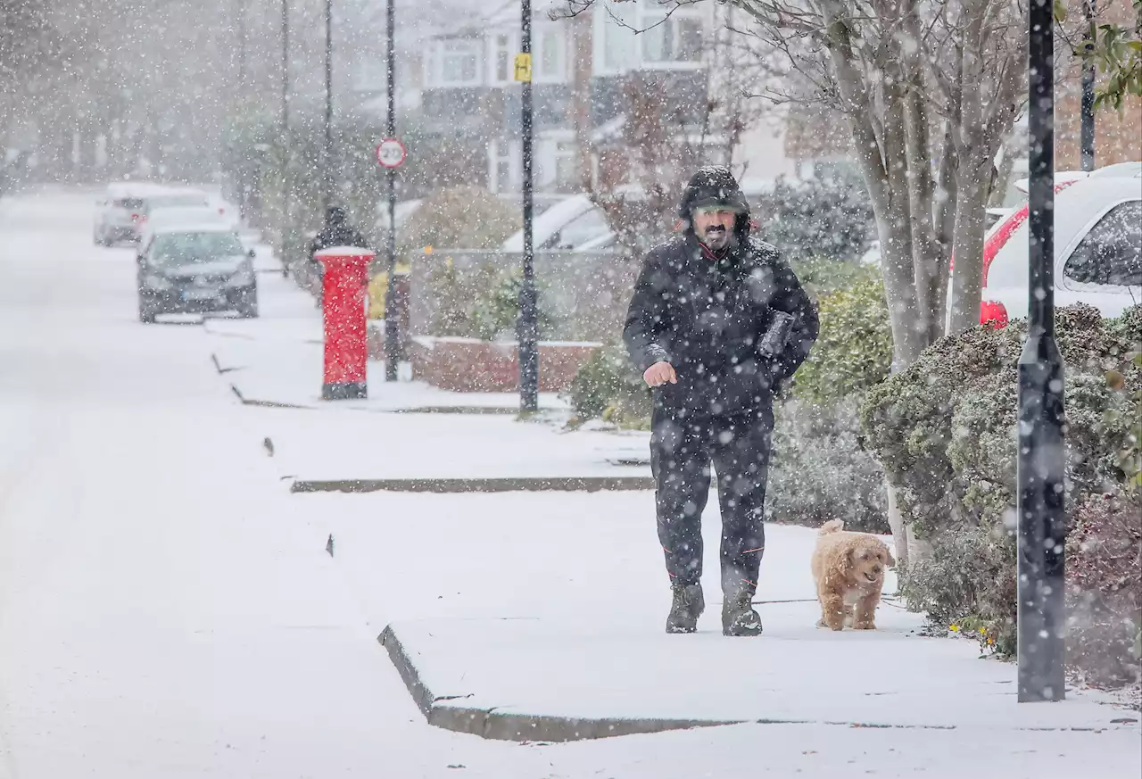 Met Office reveals it WILL be a white Christmas Day in official forecast