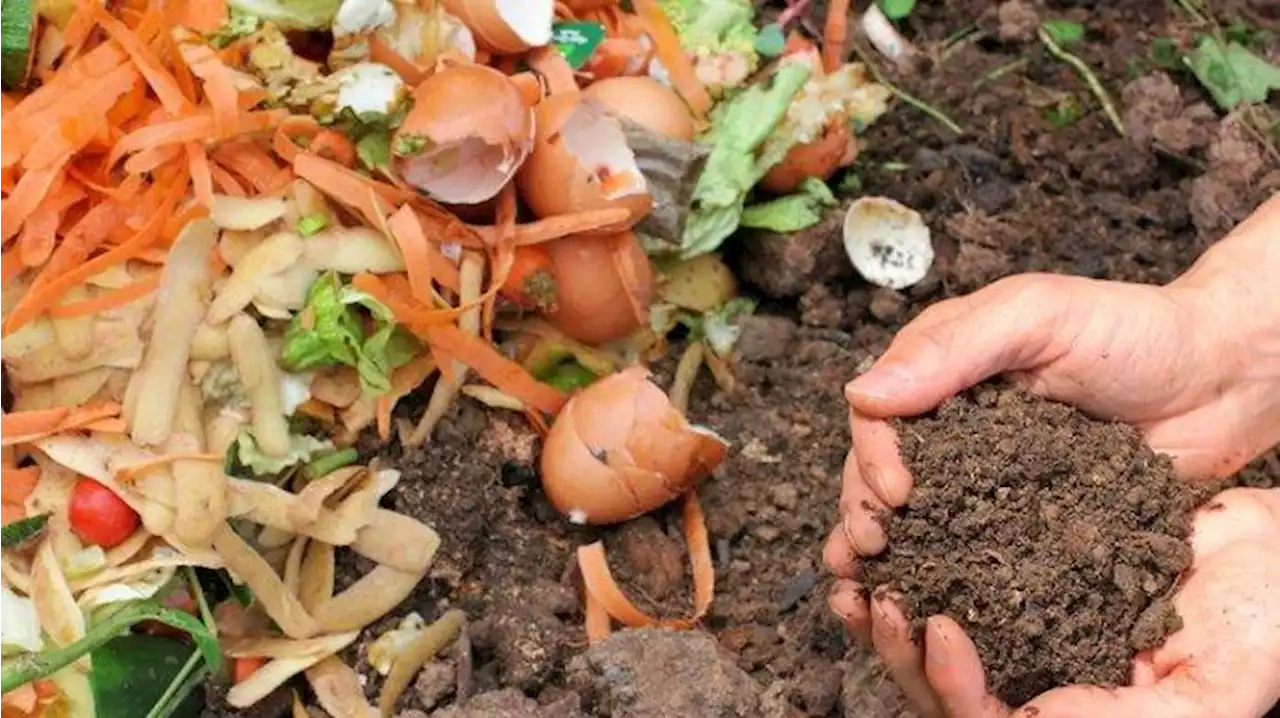 Jangan Langsung Dibuang, 5 Sampah Dapur Ini Punya Banyak Manfaat untuk Tanaman - Tribunshopping.com