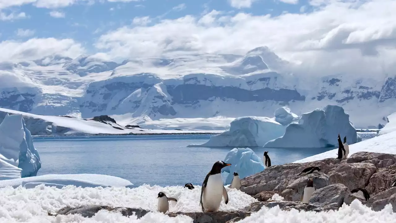 From Ice Climbing to Emperor Penguins, a More Mindful Way to Visit Antarctica