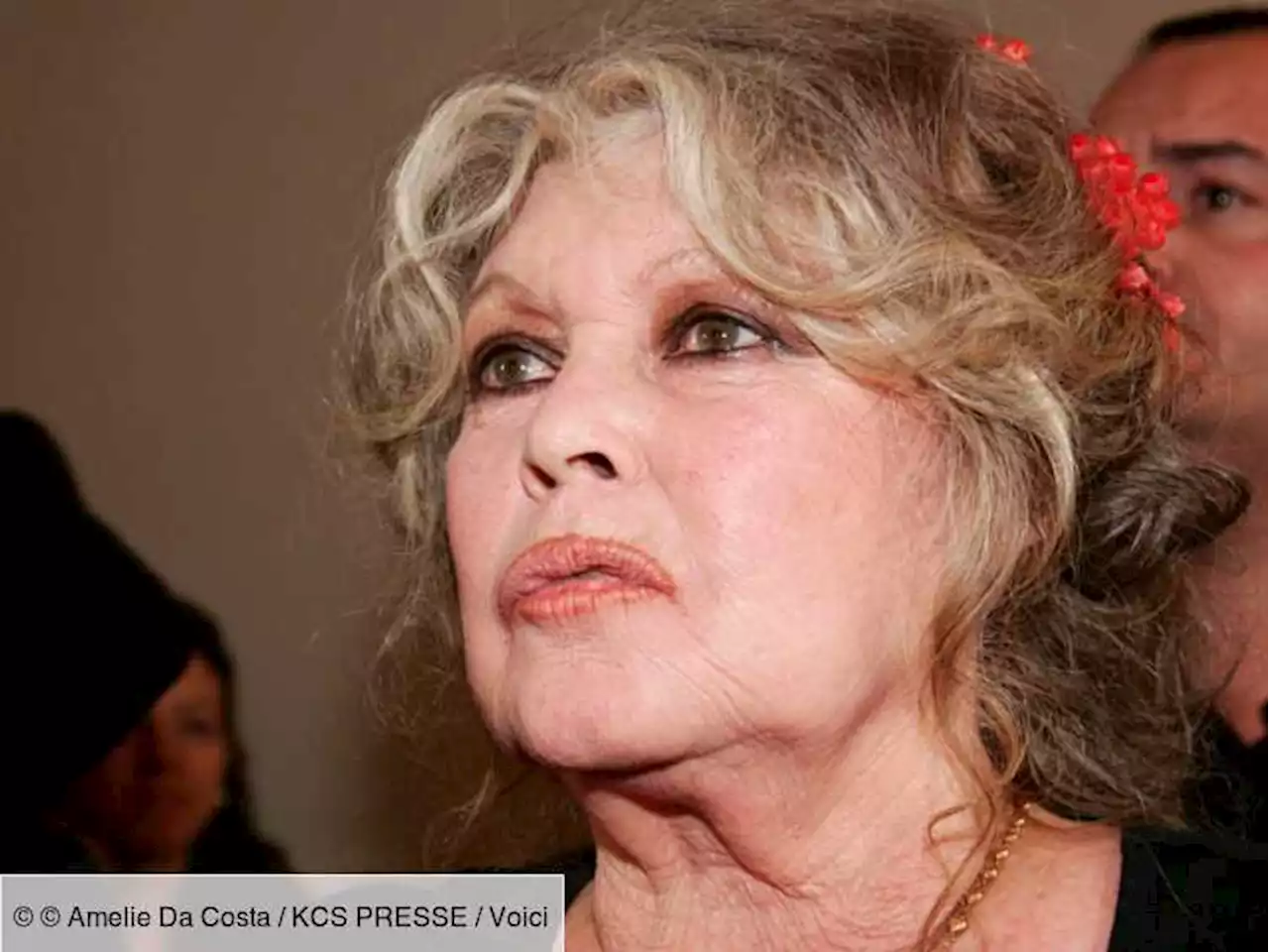 Brigitte Bardot : les rares confidences de son mari sur les rapports compliqués qu’elle entretient avec son fils (ZAPTV) - Voici