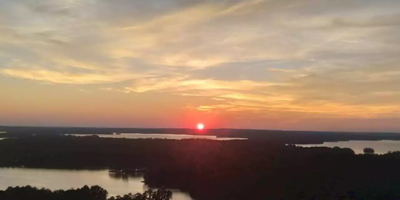 Christmas trees to be made into fish habitats at Lake Martin