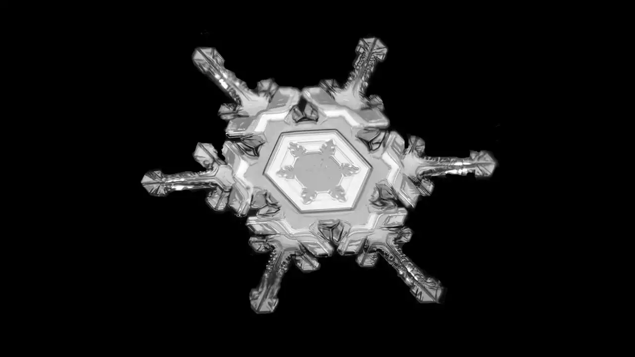 This Colorado doctor photographs snowflakes in incredible detail