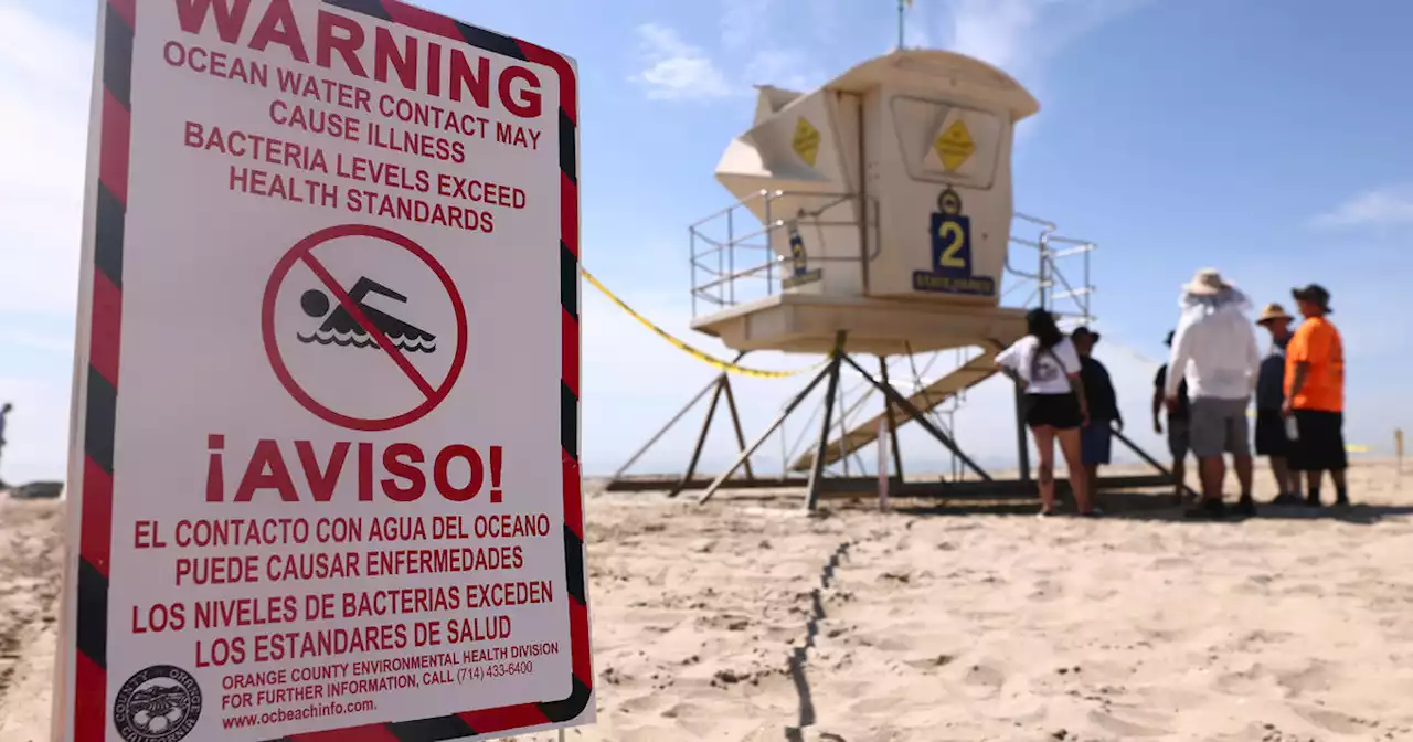 Water warning issued for several Southland beaches due to high bacteria levels