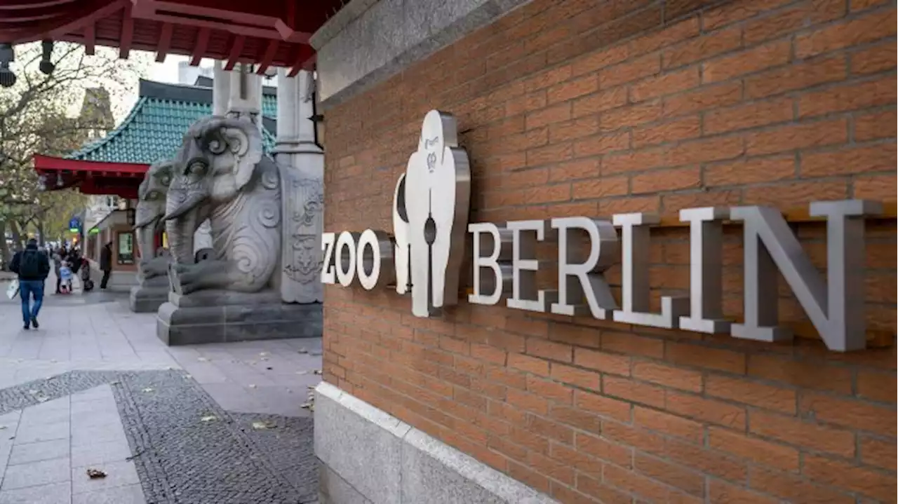 Berliner Zoo nach Schließung wegen Vogelgrippe wieder geöffnet