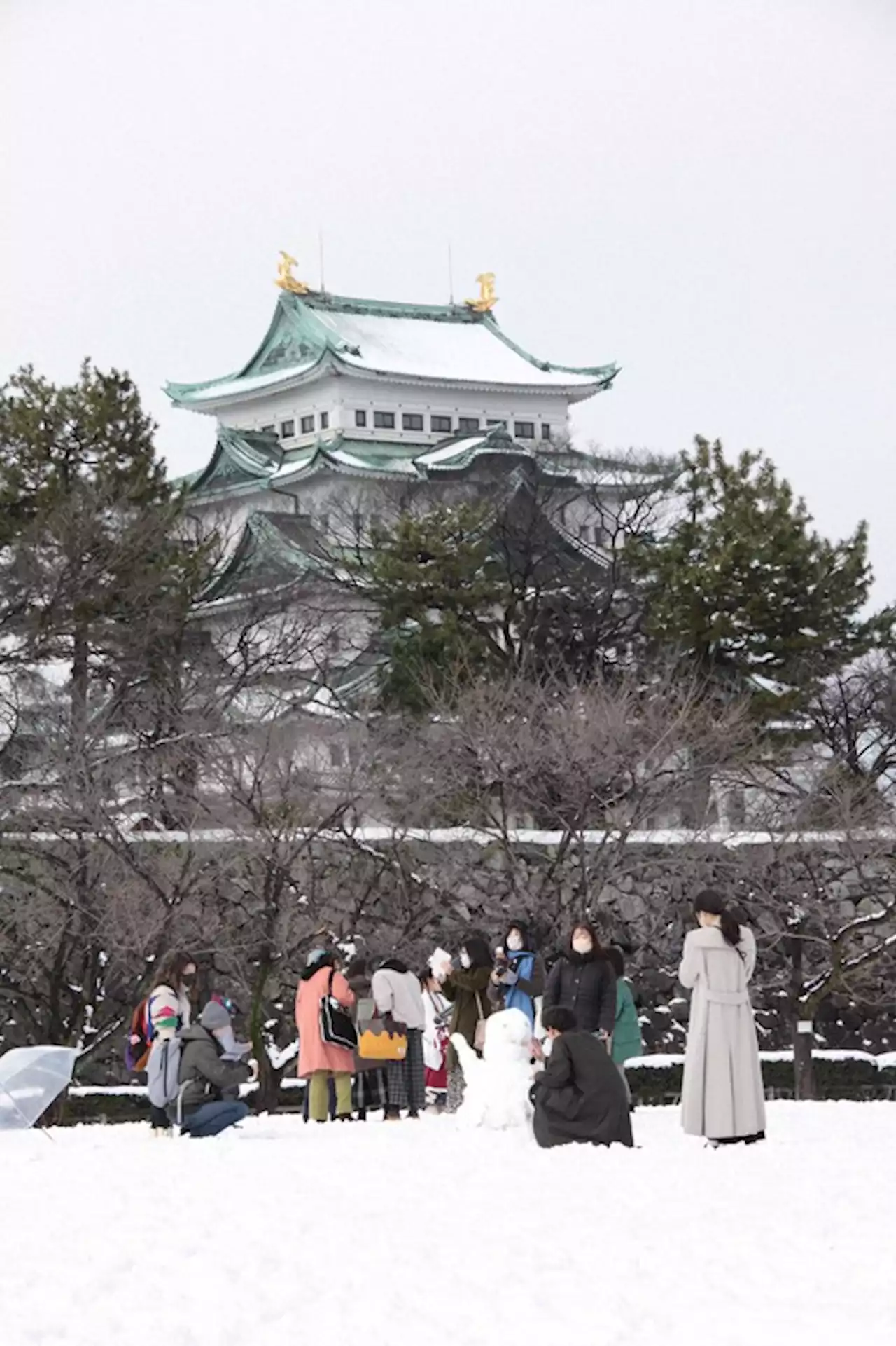 25日にかけ大雪警戒 北海道・遠軽で観測史上最高130cm積雪 - トピックス｜Infoseekニュース