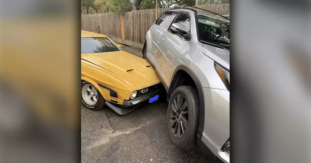 2 women arrested in Santa Rosa following crazy crash in stolen vehicle