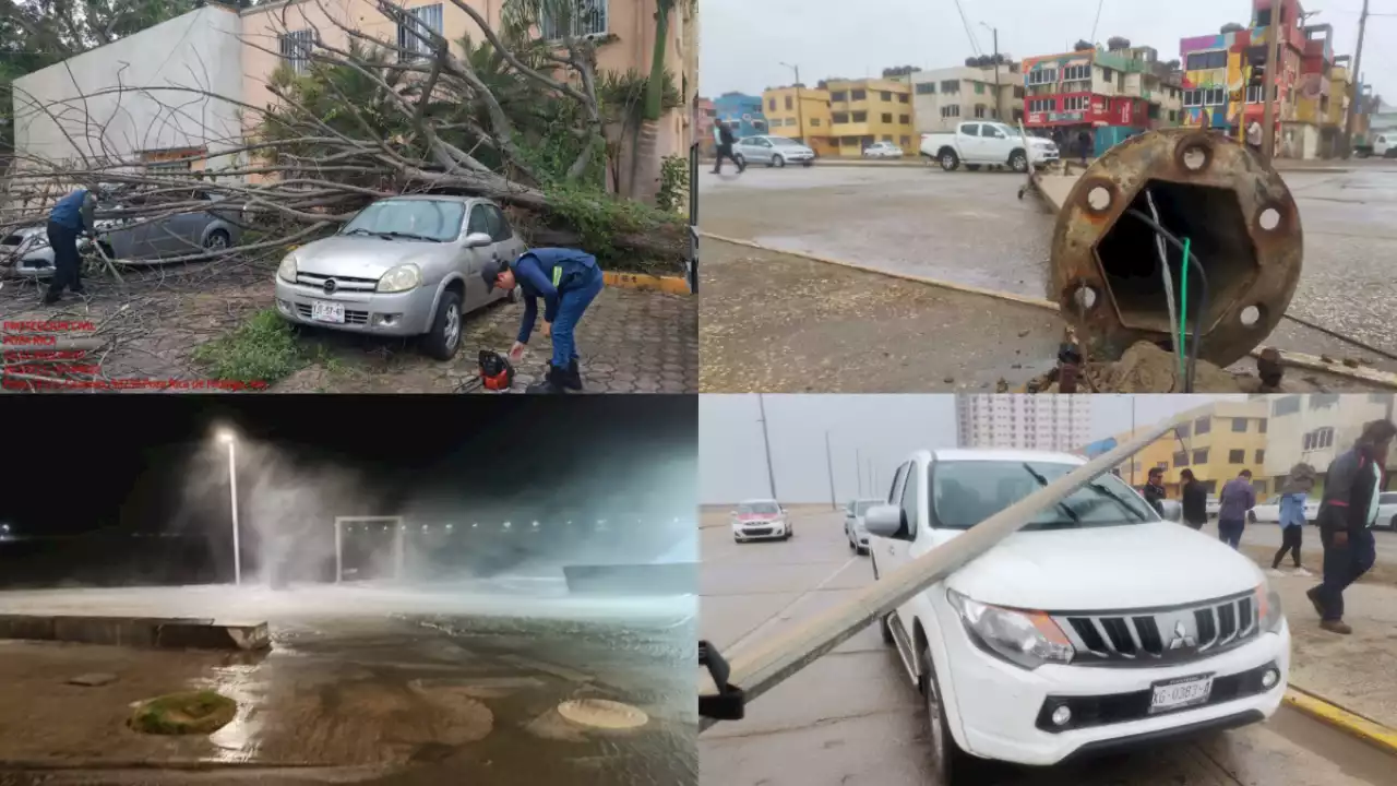 Nortazo de 120 km/h deja postes y árboles caídos en Veracruz