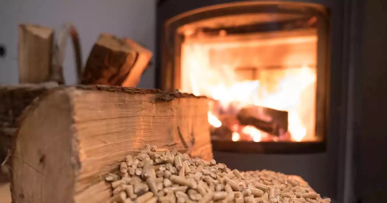 Le chèque bois énergie peut être demandé à partir du 27 décembre : voici comment l'obtenir