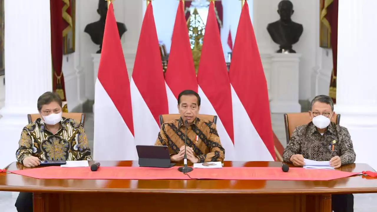 Larang Ekspor Bauksit, Bisakah Jokowi Menang Jika Digugat ke WTO?