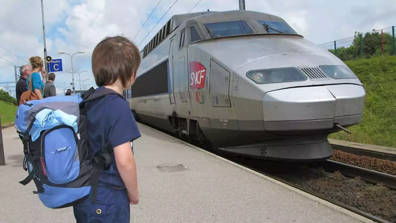 Grève SNCF à Noël : le train 'spécial enfants' a permis à 900 personnes de rejoindre leurs proches dans toute la France