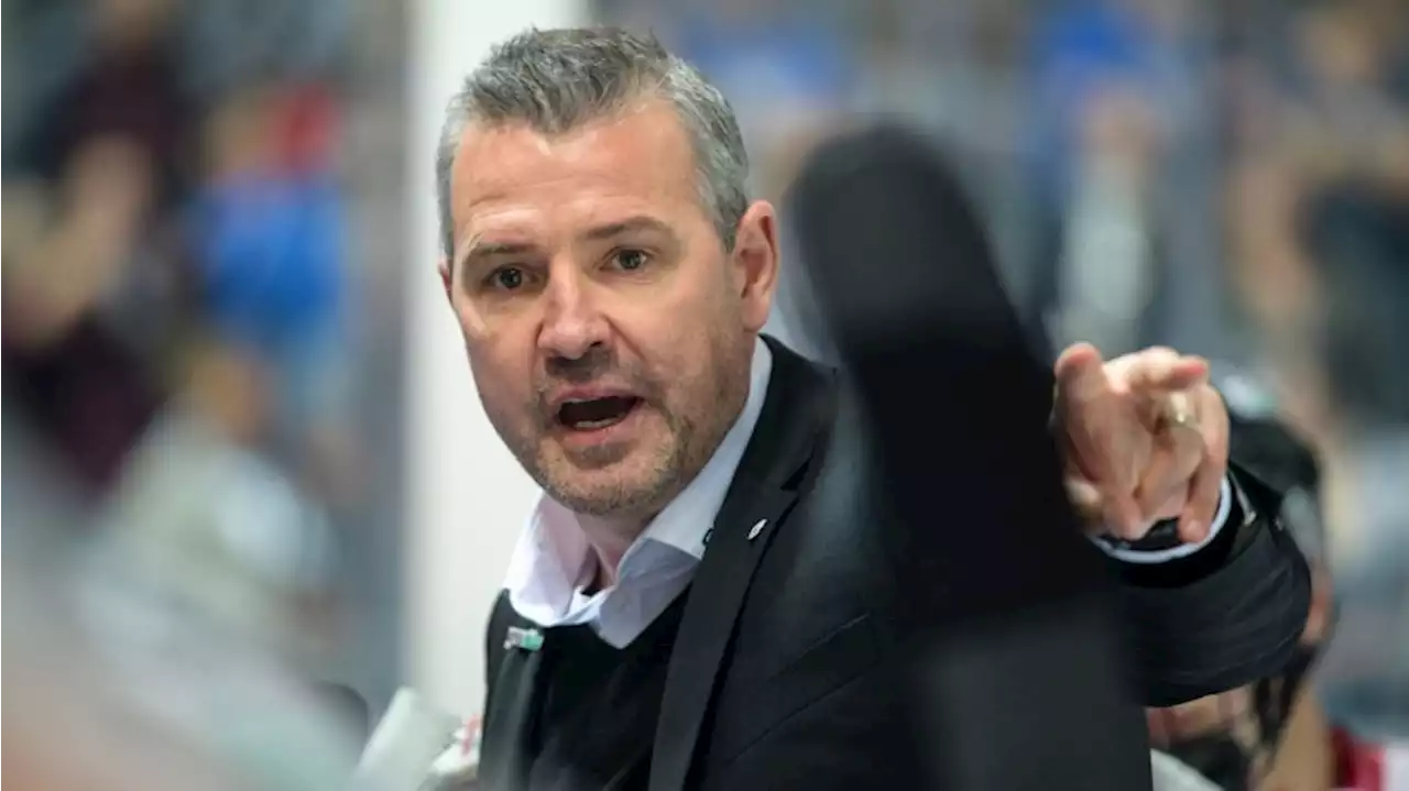 Starkes 5:0 gegen Bietigheim: Eisbären-Coach Aubin hat Spaß