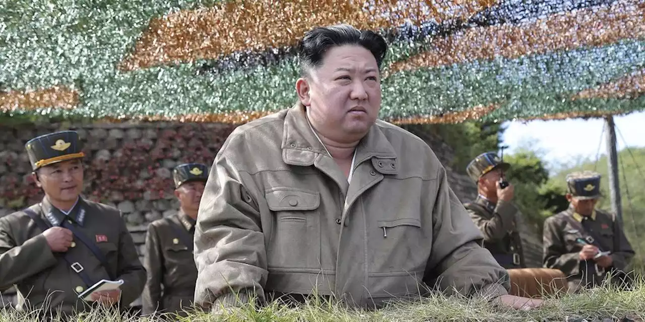 So versorgt Kim Jong-un Diktatoren mit Waffen