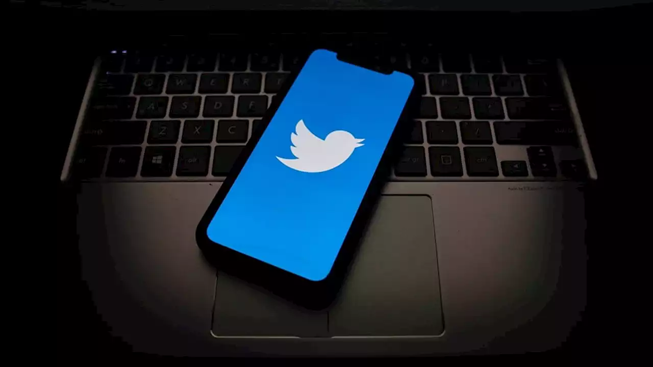 Twitter probed in EU for pre-Musk data leak of 5.4 million users | Business