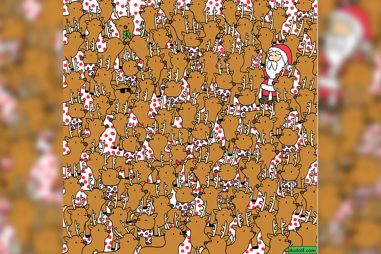 Christmas brain teaser: Can you find Rudolph among the reindeer?