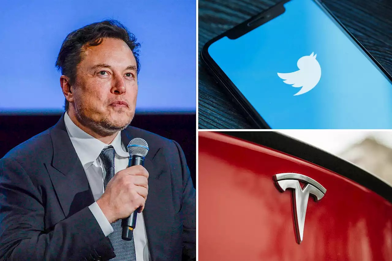 Elon Musk confronted by Tesla investor over pronoun comments