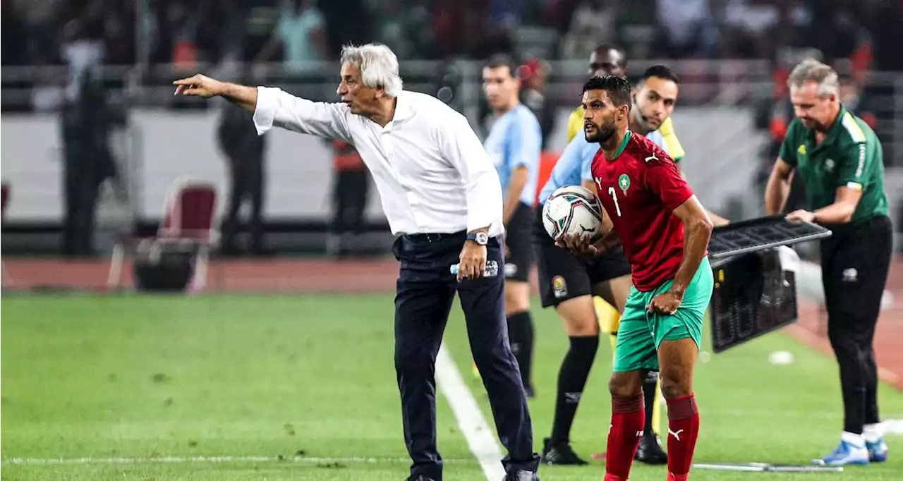 Maroc : Halilhodzic tacle encore la Fédération après son éviction