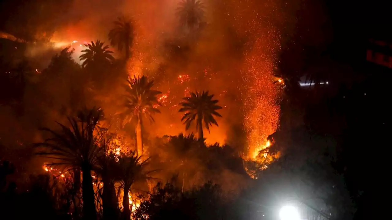 Descontrolado incendio en Viña del Mar | Al menos dos muertos y 500 viviendas afectadas