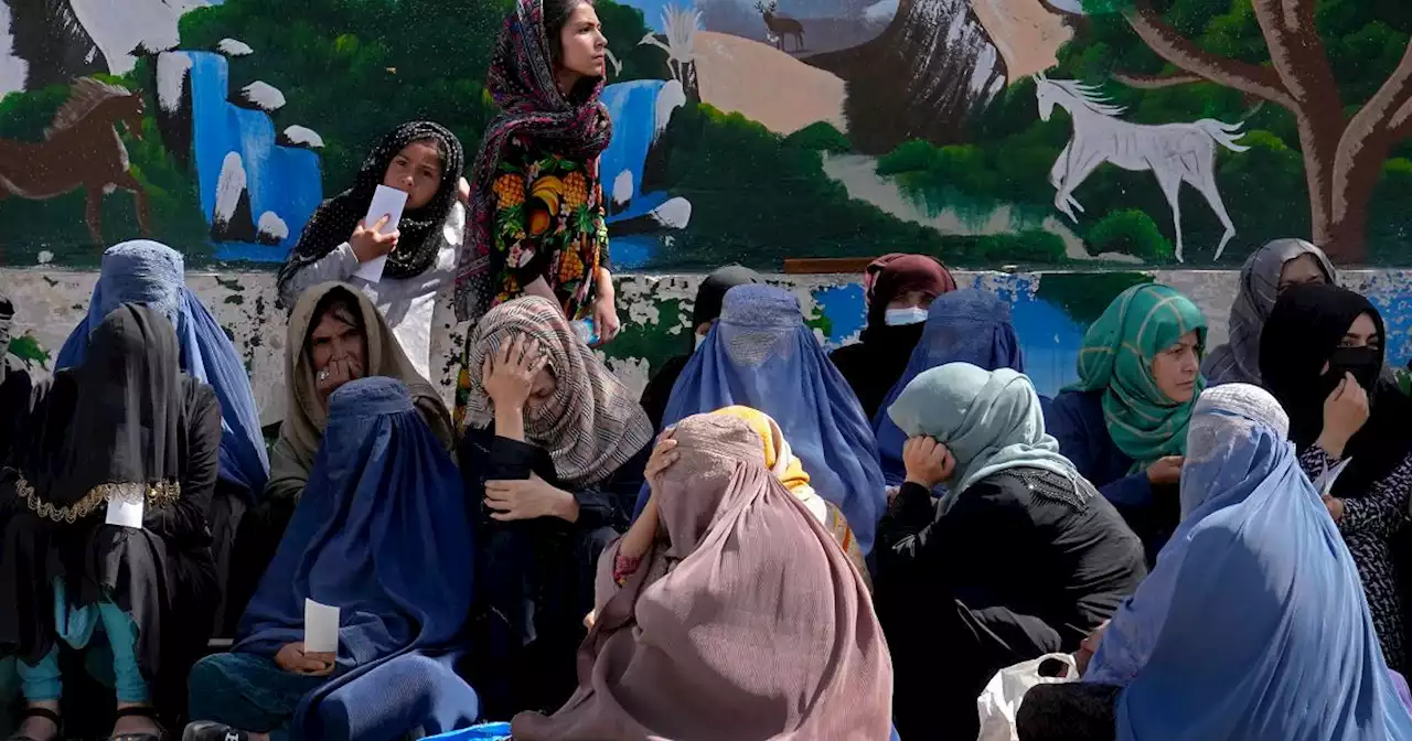 Afghanistan, i talebani ordinano alle Ong di non far lavorare le donne