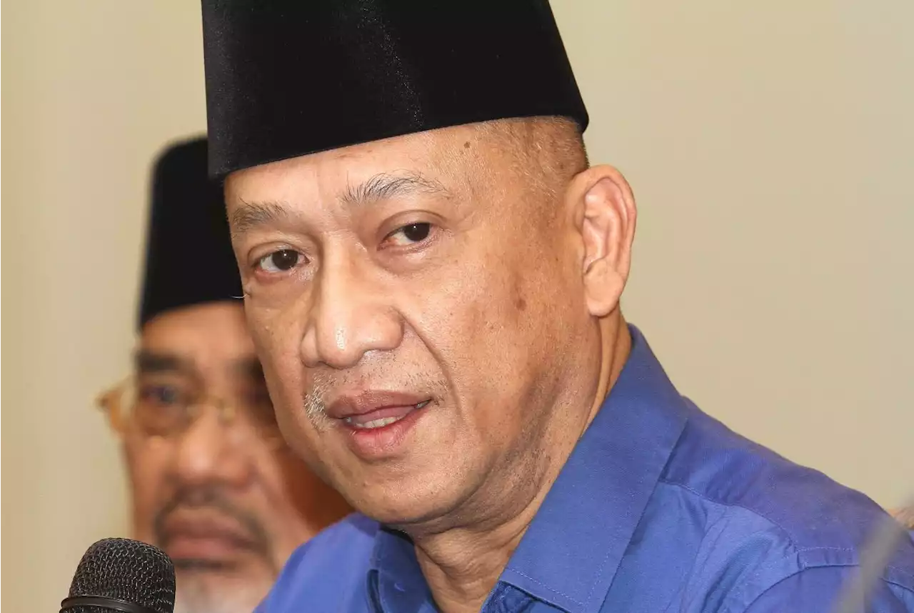 Umno should hold its elections to preserve democracy, Nazri Aziz