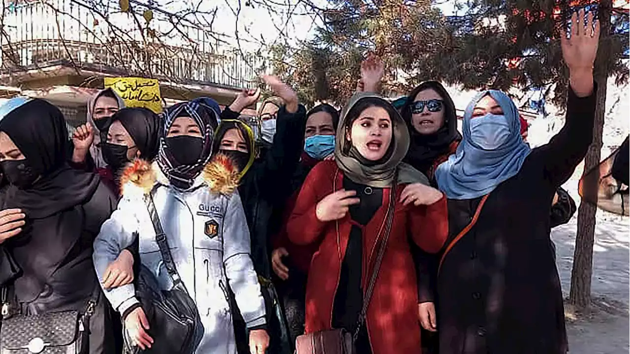 Protest gegen die Taliban: Frauen in Afghanistan demonstrieren weiter gegen Universitätsverbot