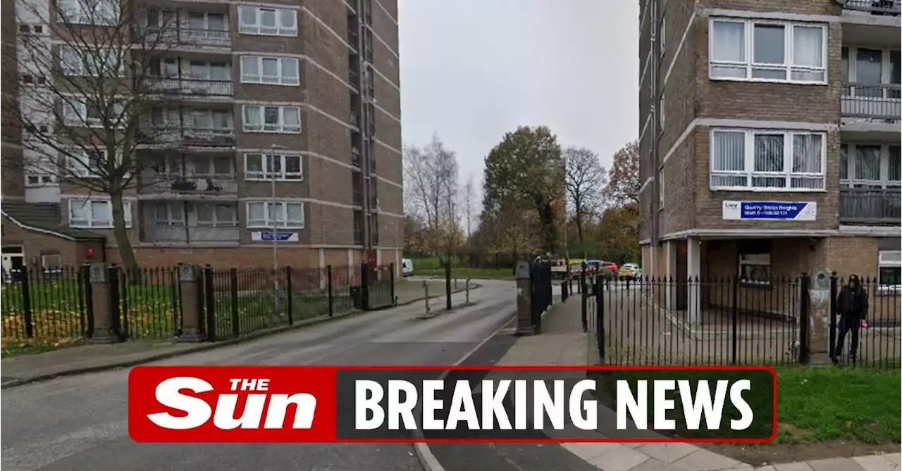 Woman, 20, dies after 'disturbance' in flat as man, 19, held for 'murder'