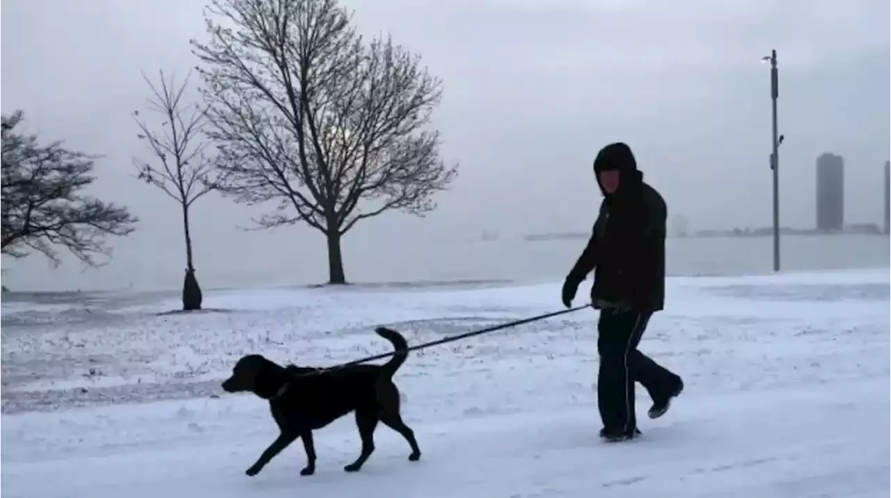 Estados Unidos enfrenta una fuerte tormenta invernal: hay cinco muertos y un millón de personas están sin luz