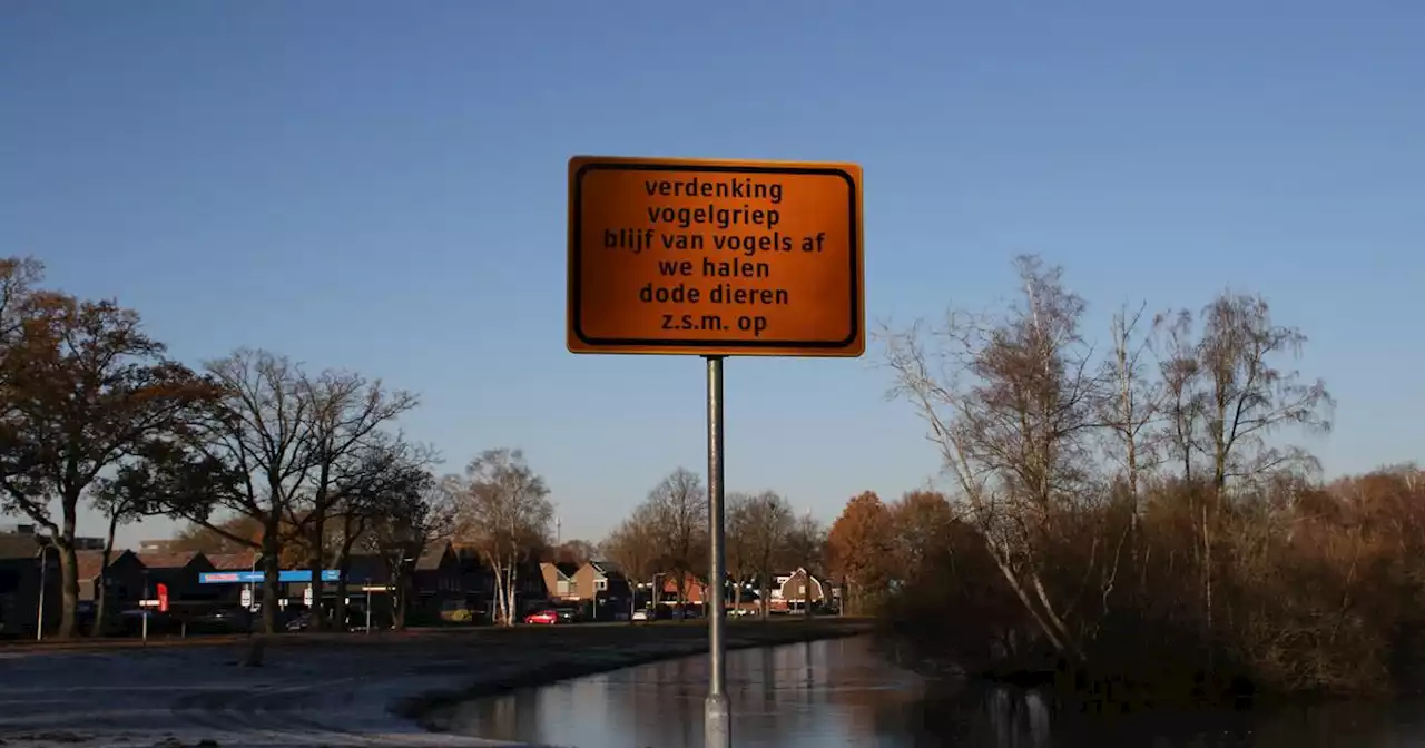 Onderzoek bevestigt vermoeden: vogelgriep in Stroinkpark aan de Buurserstraat