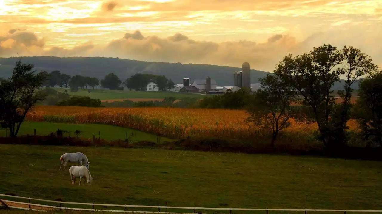 US farmland escapes real estate slump as prices soar to record