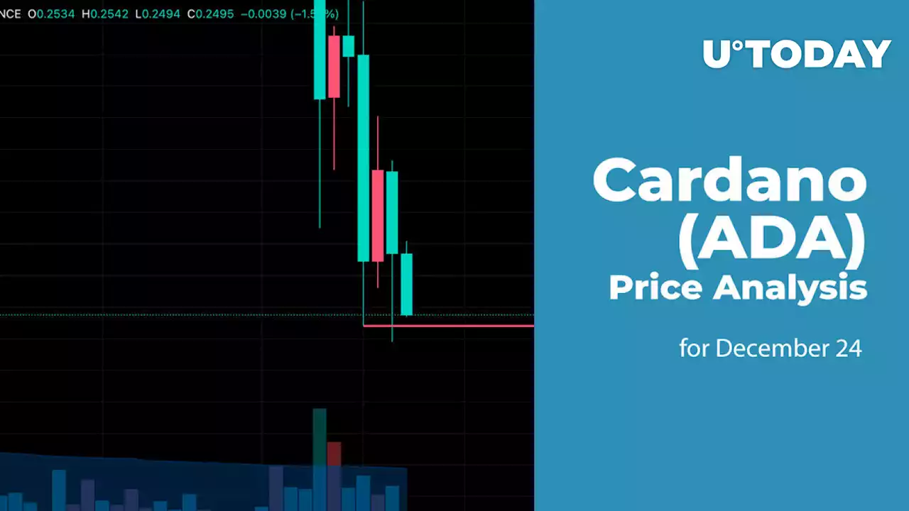 Cardano (ADA) Price Analysis for December 24