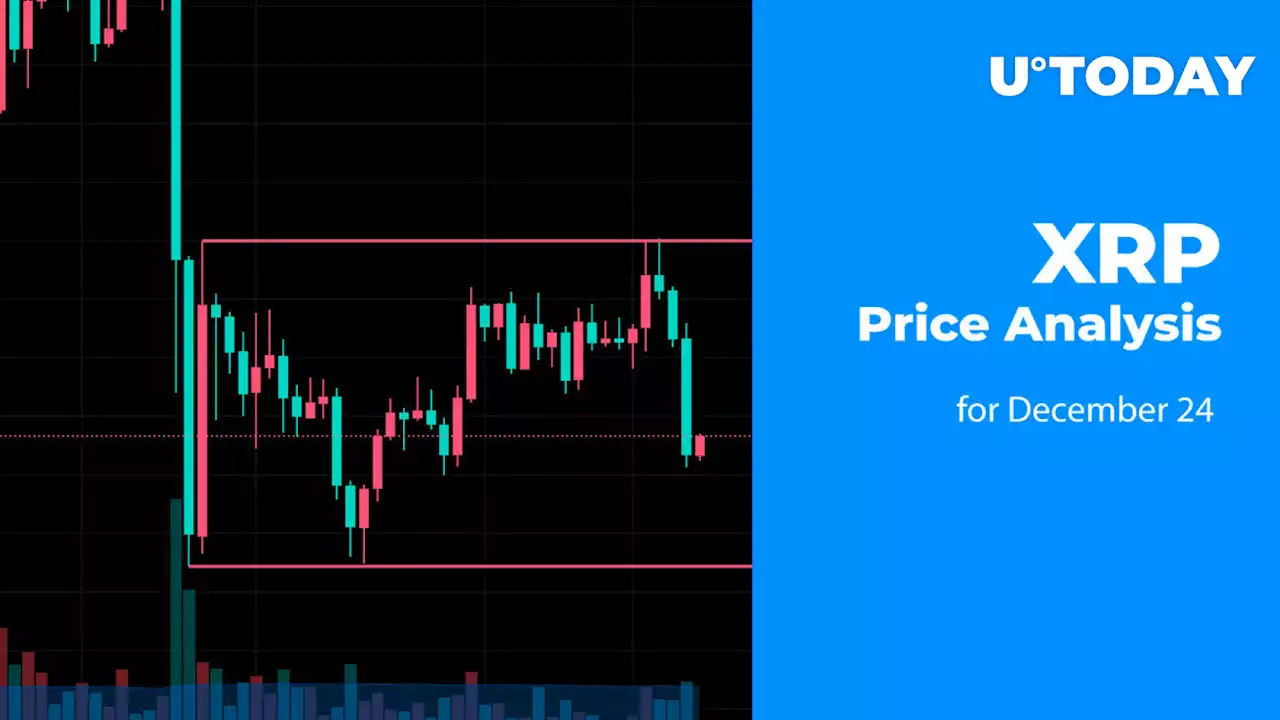 XRP Price Analysis for December 24