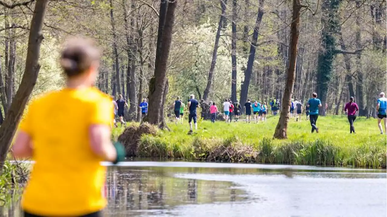 Wie sich der Spreewaldmarathon ein Stück weit neu erfindet