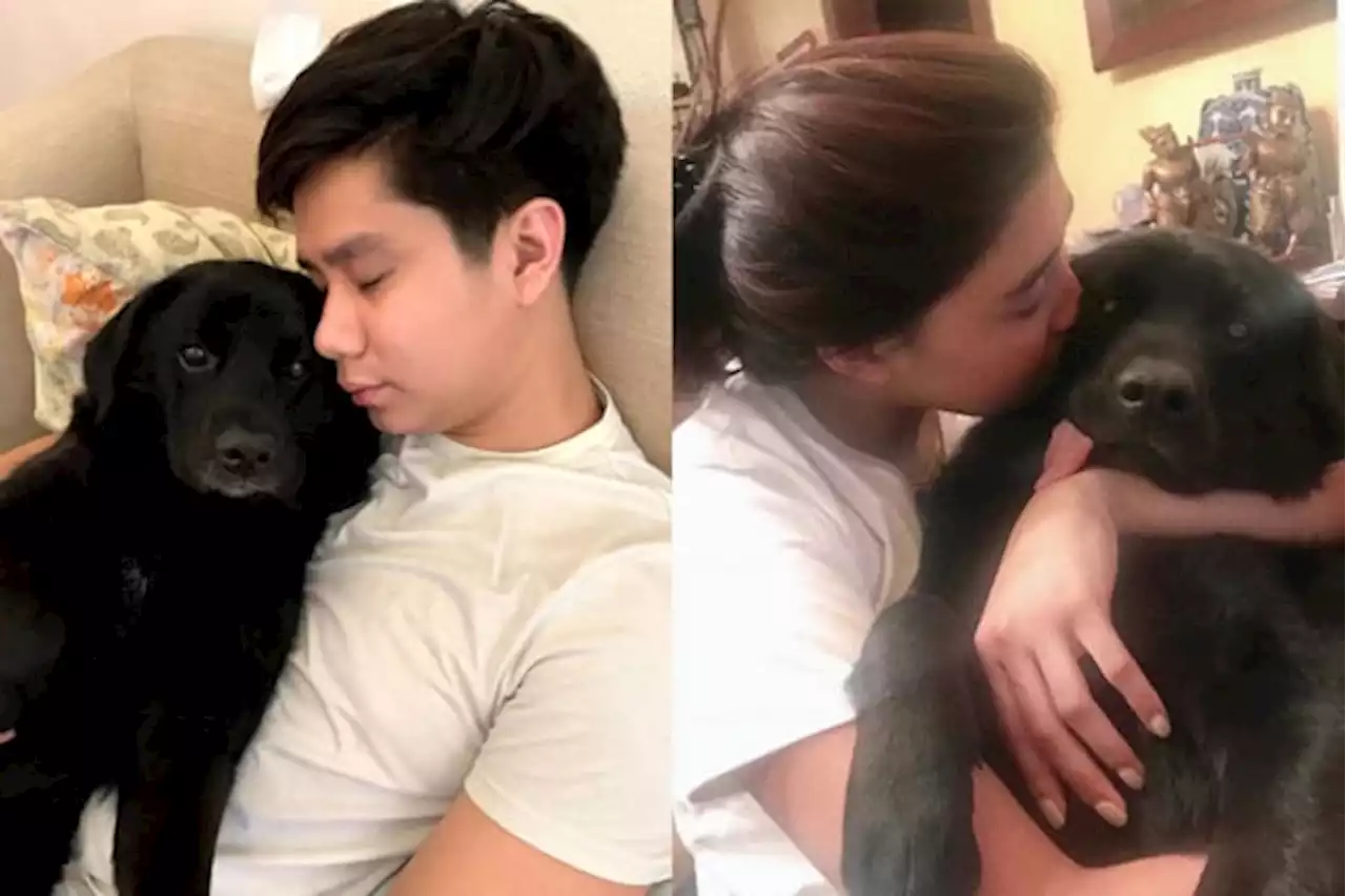 Dani Barretto, husband mourn death of pet dog of seven years