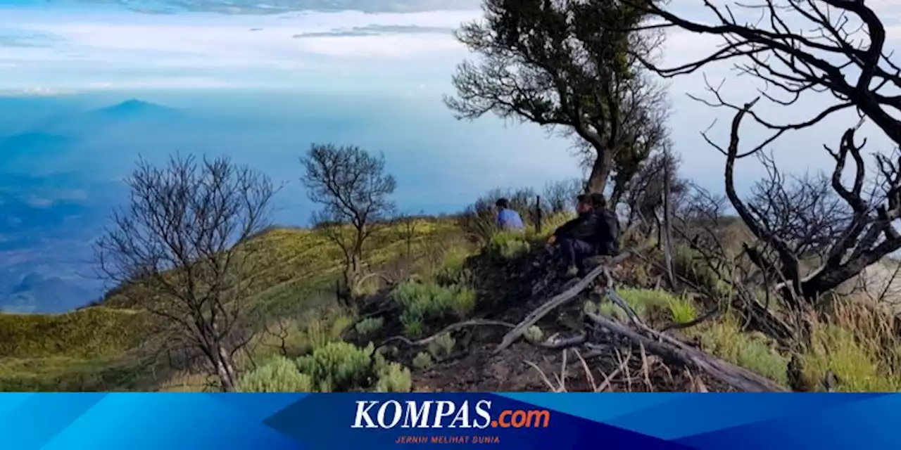 5 Jalur Pendakian Gunung Ciremai, Termasuk via Trisakti Sadarehe yang Baru Dibuka