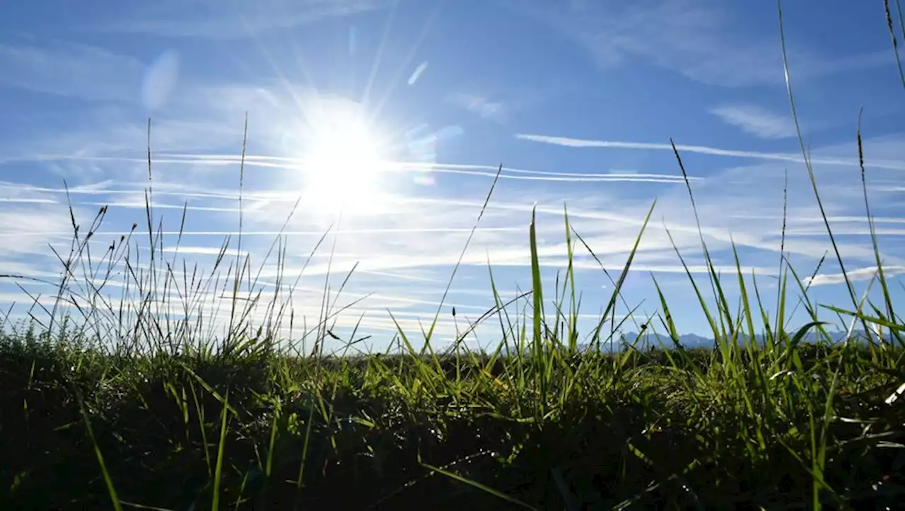 Météo : jusqu'à 26,3°C un 25 décembre en Ariège... mais pourquoi a-t-il fait si doux à Noël ?