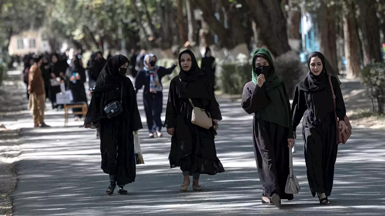 Les talibans interdisent aux femmes de travailler pour les ONG, inquiétude internationale