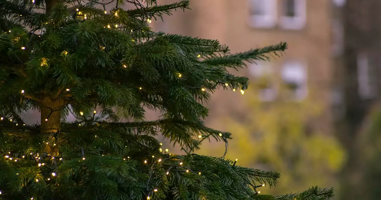 Christmas Day Quiz: Try these 100 questions with your family and friends today