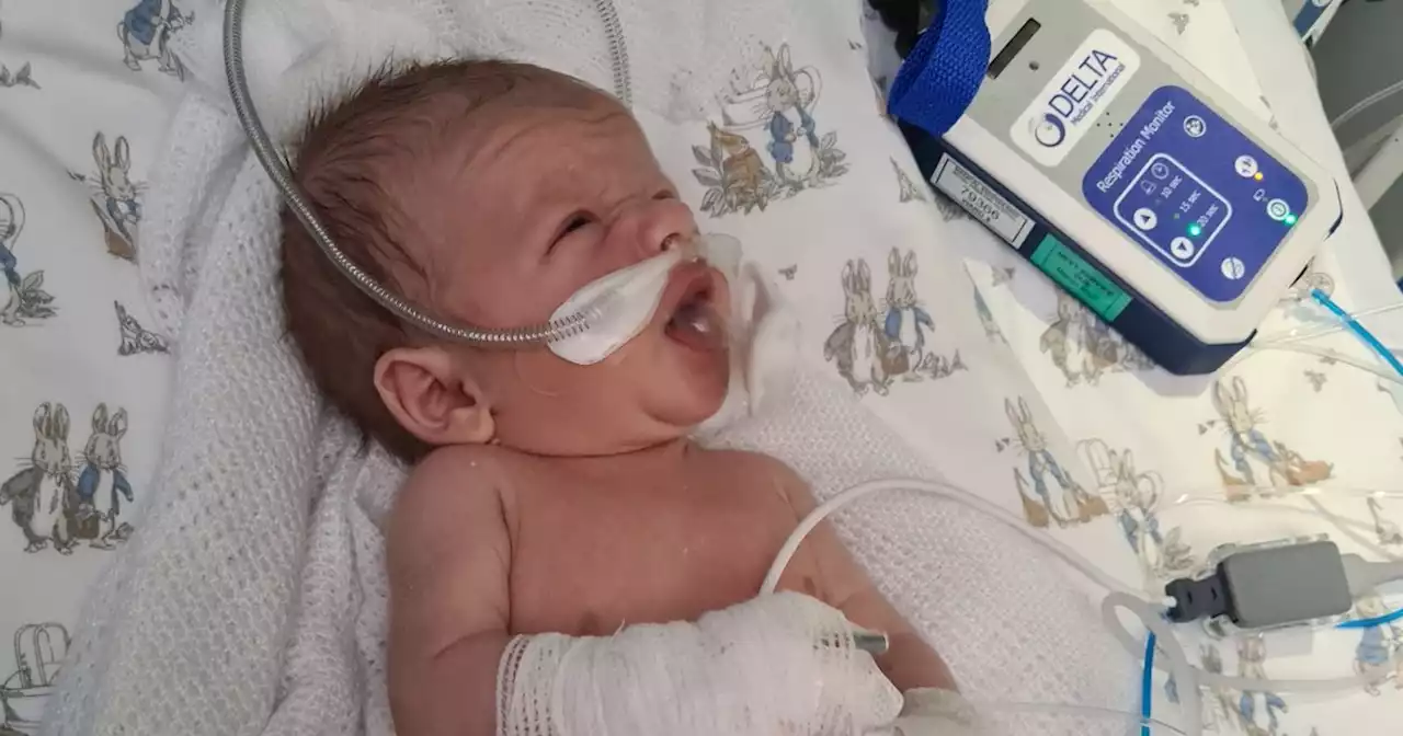 Dad who gave CPR to 'lifeless' baby boy prepares for best family Christmas ever