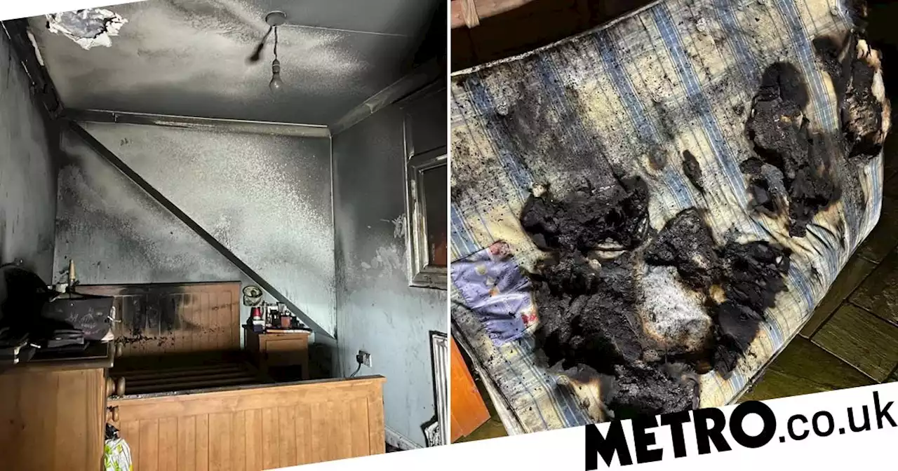 Bedroom engulfed in flames after 'dog accidentally switched hairdryer on'