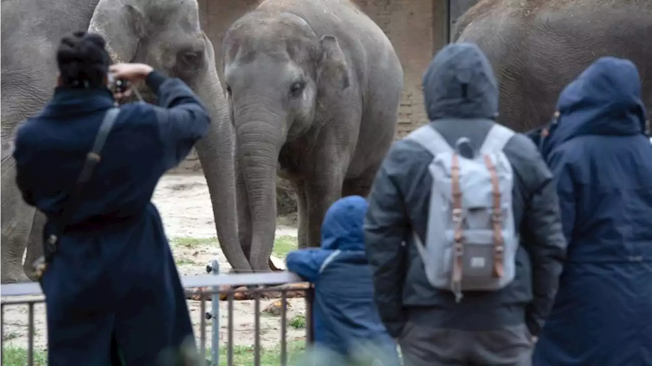 Wieder mehr Besucher in Zoo und Tierpark