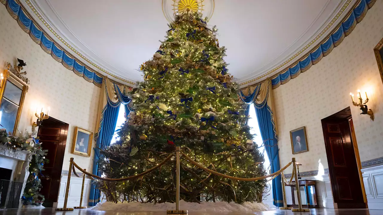 This Boston Couple Helped Decorate the White House for the Holidays: PICS