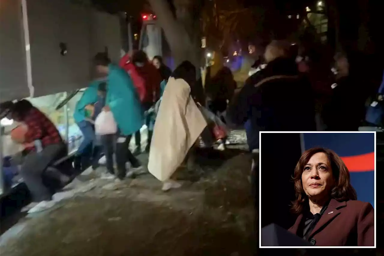 Three busloads of migrants dropped at Kamala Harris’ home on Christmas Eve