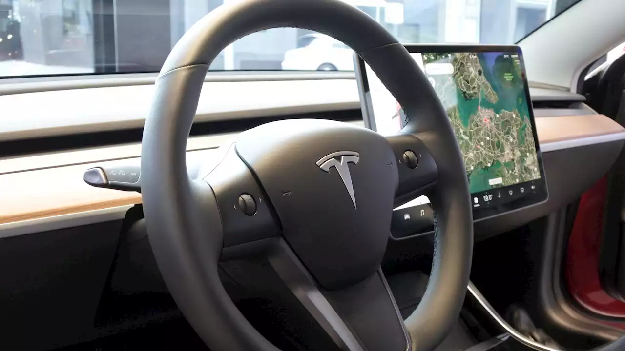 Tesla driver blames self-driving mode for eight-car pileup