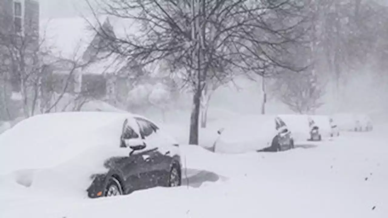 Vejas as fotos da onda de frio que atinge os Estados Unidos