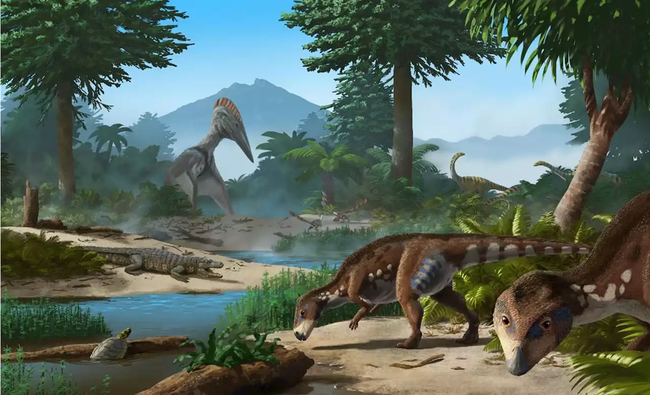 “Exceptionally” Wide and Flat-Headed – New Species of Dinosaur Discovered