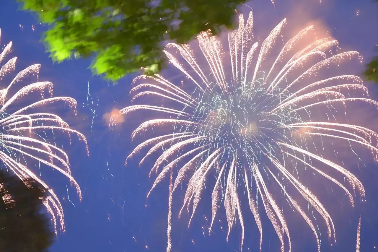 Fireworks and Birds: The Hidden Costs of Celebration